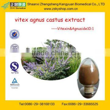 Top Quality Vitex Agnus Castus Extract with Vitexin From GMP Manufacturer