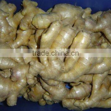 Fresh air dried ginger