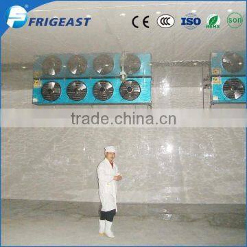 Freezer Room