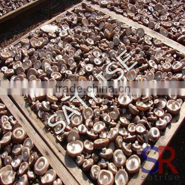 Industrial Commercial Mushroom/fruit/microwave Drying Machine Price photo-4