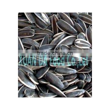 Original Place Sell SUNFLOWER SEEDS 318 at lower Price