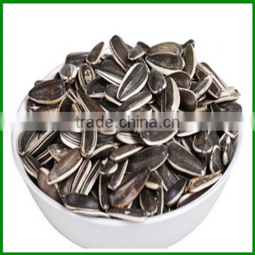 Sale High Quality and Cheap Roasted Sunflower Seeds for Human Eating