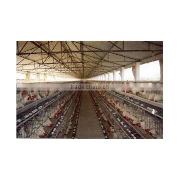 Poultry Cages