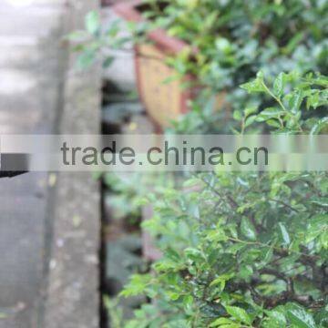 ILOT 8L Knapsack Garden Hand Pump Pressure Sprayer photo-3