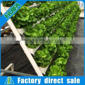 Vertical hydroponic grow systems for lettuce