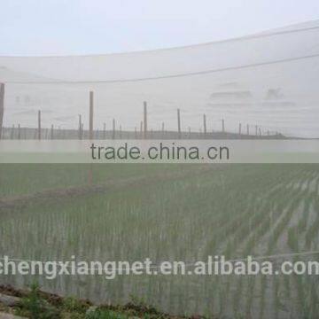 Factory Supply Anti-insect Net for Agriculture/greenhouse photo-5