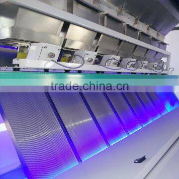 Webest CCD Almond Color Sorting Machine in HEFEI photo-5