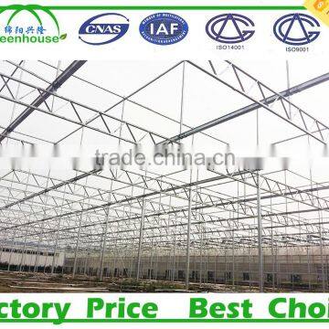 Commercial Metalic Greenhouse photo-4