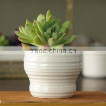 Indoor Mini Glazed White Pottery Planter for Succulent