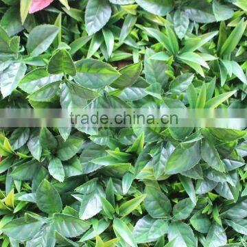 Green Wall System Vertical Hanging Garden Grass Wall With Planter photo-6
