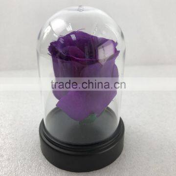Clear Acrylic Display Dome With Base for Display Decorations photo-2