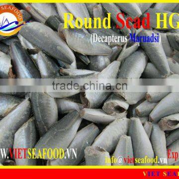 HGT FROZEN ROUND SCAD