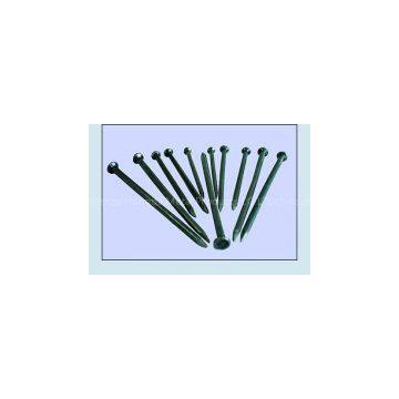 common nails