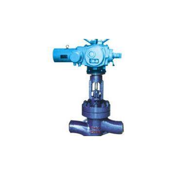 Electric Globe Valve