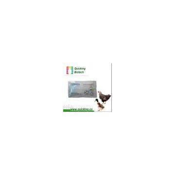 Avian Influenza Virus Ab Rapid Test photo-2