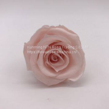 Preserved Rose Flowers for Wedding Decoration Flower Arrangement photo-2