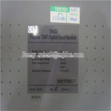 New In Stock TRIPLEX T8403 PLC DCS MODULE CPU