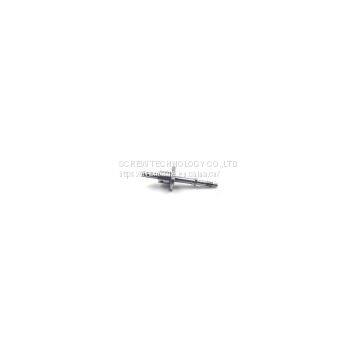 6mm Diameter Miniature Ball Screw Assembly 0601 for Digital Printer
