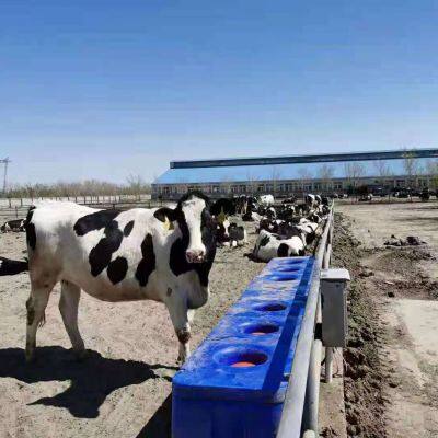 FEELFREE 2.2m Water Trough for Cattle and Sheep Drinking photo-2