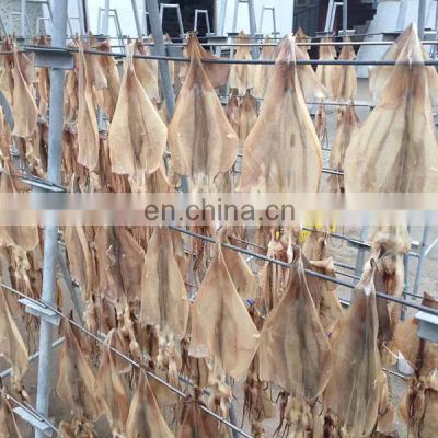 high quality frozen seafood bulk vietnam dried squid for sale