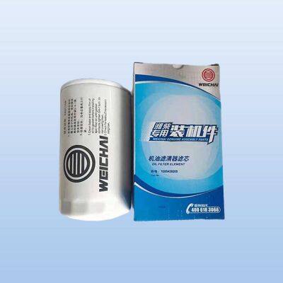 1000428205/JX1016 Weichai Engine Oil Filter element Engine Oil Filter