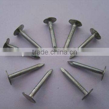 Big Head Clout Nail photo-3