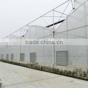 Agricultural Plastic Houses photo-2