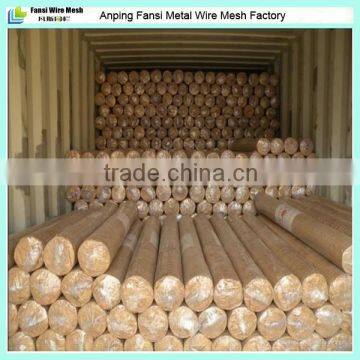 0.7mm Wire Electro Plating Welded Wire Mesh photo-2