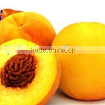 IQF yellow peach / frozen white peach