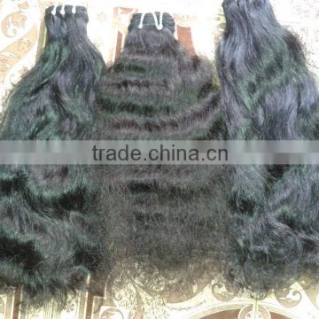 Indian Virgin Hair From India , Virgin Indian Hair Curly