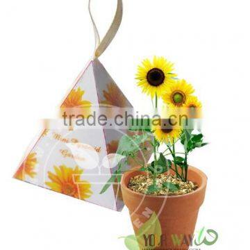 Mini Pyramid Garden, Flower Garden,Sunflower