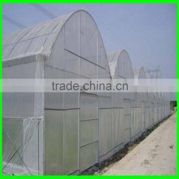 Large Size and Multi-Span Agricultural Greenhouses Type Green House Anti Insect Netting photo-5