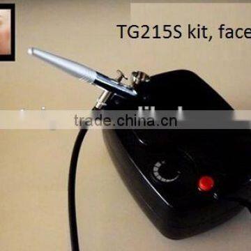 Tagore TG215S 12v dc compressor face cosmetic compressor