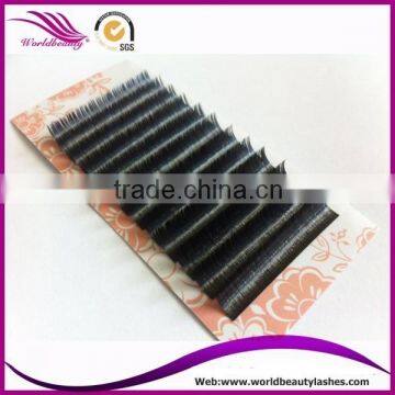 Top Quality Wholesale Price Eyelash Extension photo-2