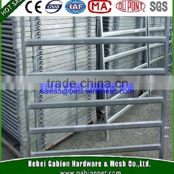 40x80mm oval rail Used Corral Panels(Real factory)