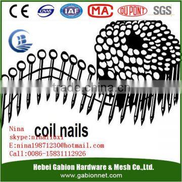 Coil roofing nails FACTORY