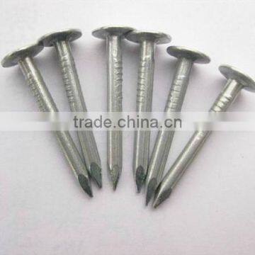 Black Galvanized Hardened Steel Concrete Nail With High Quality photo-5