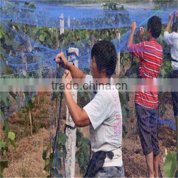 Many Kinds of Anti-hail Nets photo-2