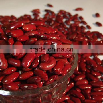 Organic small red kidney beans