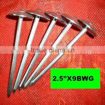 swaziland market twisted nails