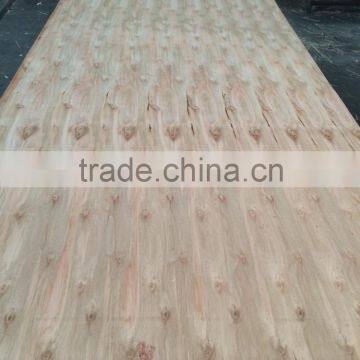2-40mm Eucalyptus Plywood Cheap Price photo-3