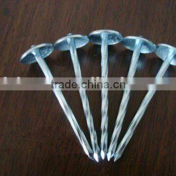 9BWG electrioc galvanized roofing nail with umbrella head