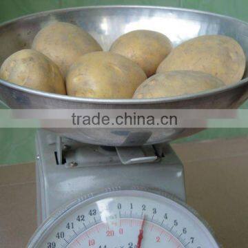 Fresh Potato