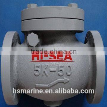 Marine Cast Iron Swing Check Valve