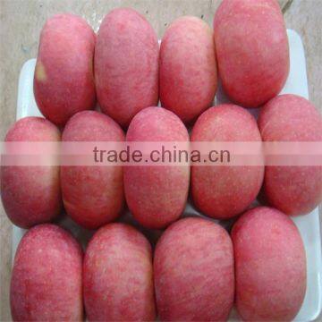 Clear Pack Fuji Apples