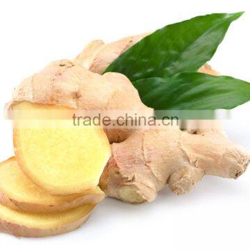 Professional Supplier High Quality Dried Ginger Flakes/Powder