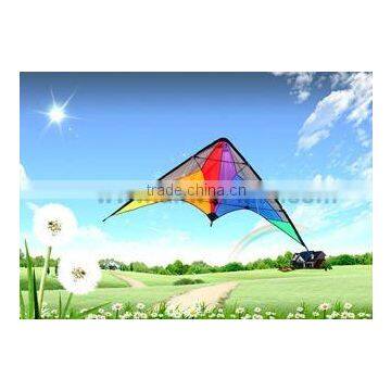 Dual Line Delta Stunt Kites - Curved Edge Kites