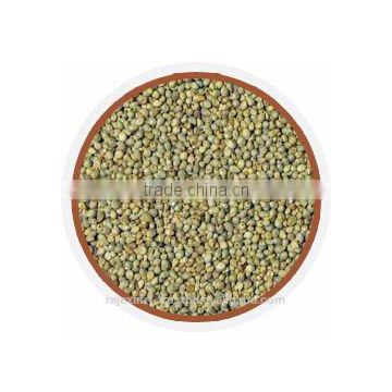 Food Grade Green Millet Price