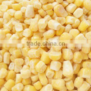 New crop iqf frozen yellow corn sweet corn kernels