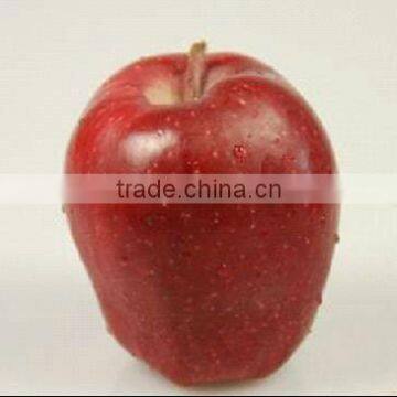 huaniu apple price and specifications from china